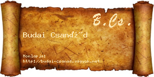 Budai Csanád névjegykártya